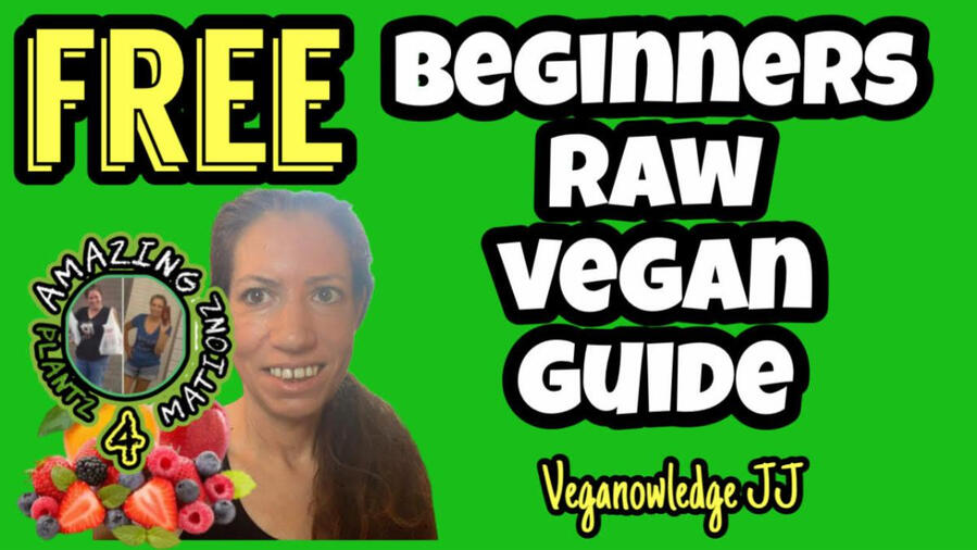 FREE BEGINNER RAW VEGAN GUIDE